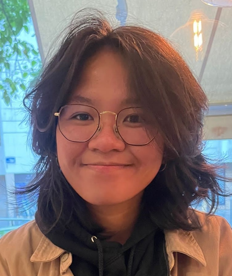 CHAN SOCK LINE Diane